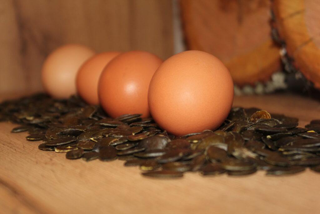 Eier auf Kürbiskernen